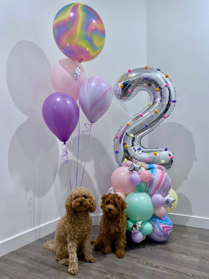 Pom Poms Birthday
