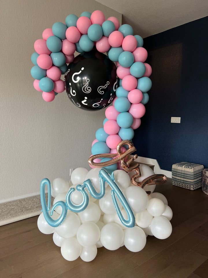 Question mark - Gender Reveal
